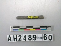 藏品(磨製石針)的圖片